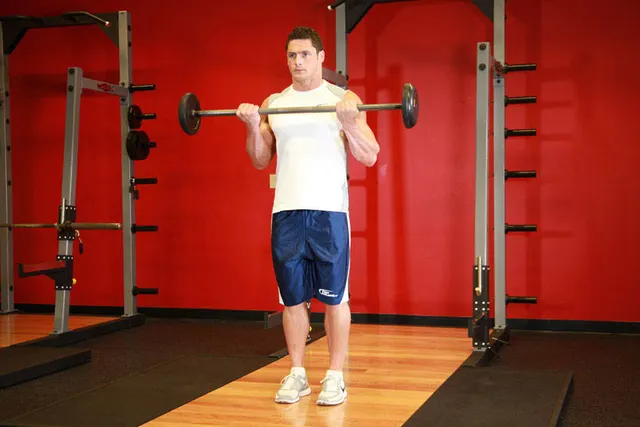 Barbell Curl, finishing position