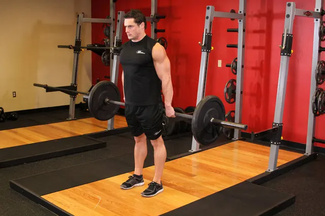 Barbell Hack Squat, finishing position