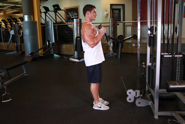 Cable Hammer Curls - Rope Attachment, finishing position