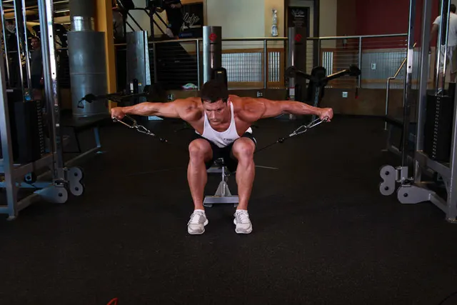 Cable Seated Lateral Raise, finishing position