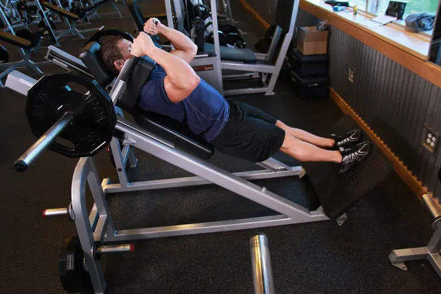 Narrow Stance Hack Squats, finishing position